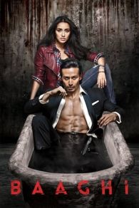 VER Baaghi (2016) Online Gratis HD