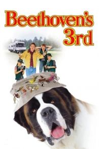 VER Beethoven 3: De excursión con la familia (2000) Online Gratis HD