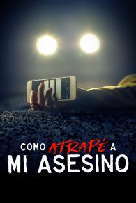 VER Como atrapé a mi asesino Online Gratis HD