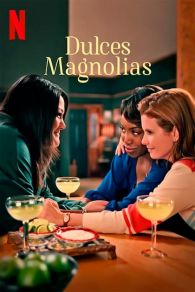 VER Dulces magnolias Online Gratis HD