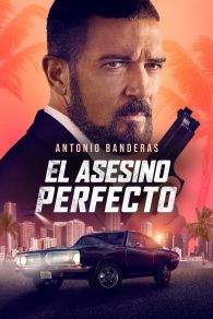 VER El asesino perfecto Online Gratis HD