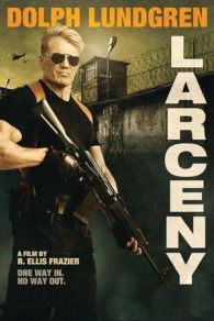 VER El infiltrado (Larceny) (2017) Online Gratis HD