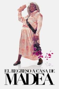 VER El regreso a casa de Madea Online Gratis HD