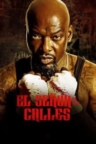 VER El Señor De Las Calles Online Gratis HD