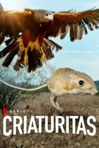 VER Fauna minúscula Online Gratis HD