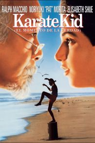 VER Karate Kid Online Gratis HD