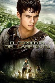 VER Maze Runner: Correr o morir Online Gratis HD