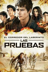 VER Maze Runner: Prueba de fuego Online Gratis HD