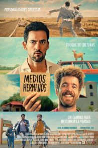 VER Medios Hermanos Online Gratis HD