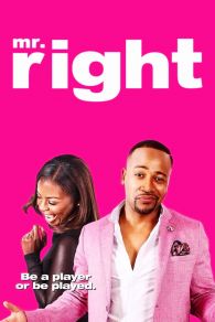 VER Mr. Right Online Gratis HD