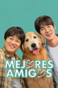 VER Mejores Amigos Online Gratis HD