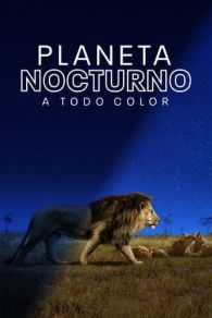 VER Planeta nocturno: a todo color Online Gratis HD