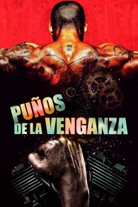 VER Puños de la Venganza Online Gratis HD