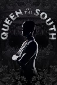 VER Queen of the South Online Gratis HD