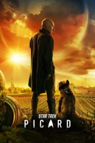 VER Star Trek: Picard Online Gratis HD