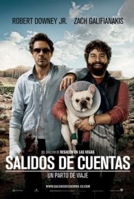 VER Todo un Parto (2010) Online Gratis HD