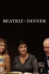 VER Una Cena Incomoda (2017) Online Gratis HD