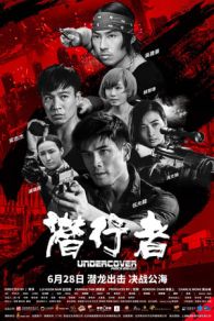 VER Undercover Punch and Gun (2019) Online Gratis HD