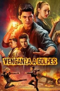 VER Venganza a golpes Online Gratis HD