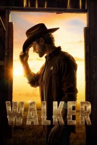 VER Walker Online Gratis HD