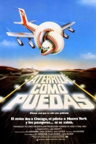 VER Y donde esta el piloto (1980) Online Gratis HD